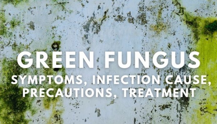 Green fungus: Is it different from Black fungus? check details here