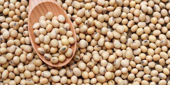 Here are some benefits of adding Soybeans to your diet.