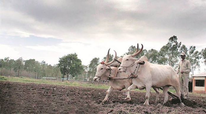 This state government to give Rs 900 per month to farmers, know why
