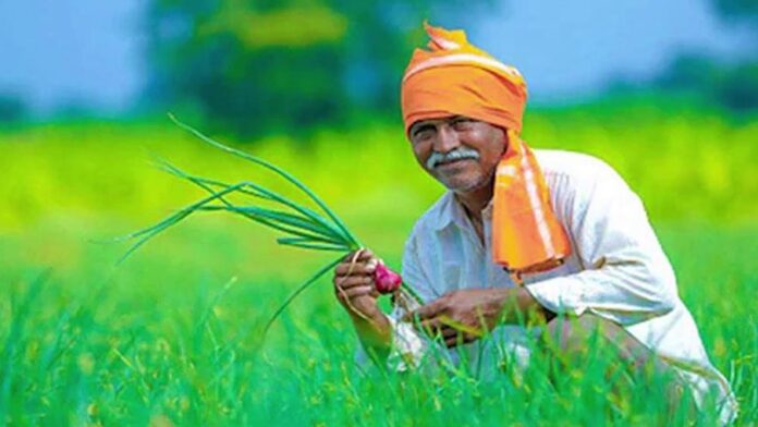 Government shares good news for farmers after releasing 11th installment: PM Kisan Yojana