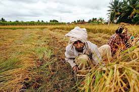 Groundbreaking Initiative for Farmers: Government Unveils Credit Insurance Schemes